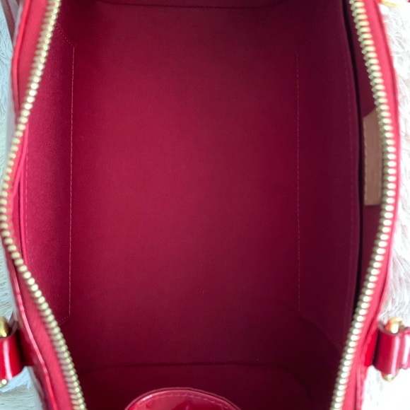 LOUIS VUITTON VERNIS SHERWOOD PM - Picture 8 of 16